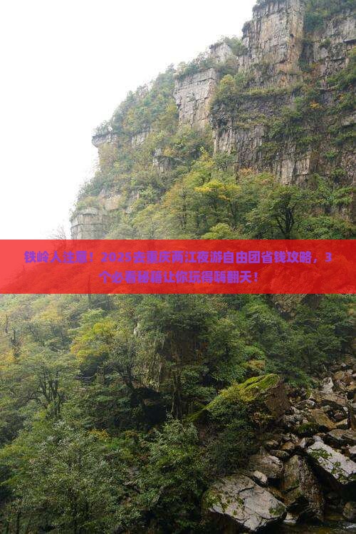 铁岭去重庆两江夜游自由团