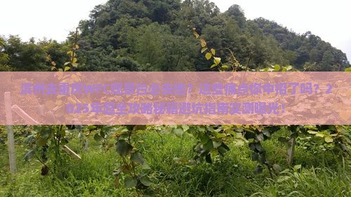 滨州去重庆wfc观景台必去地