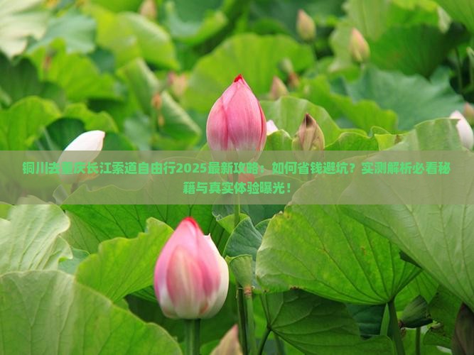铜川去重庆长江索道自由行