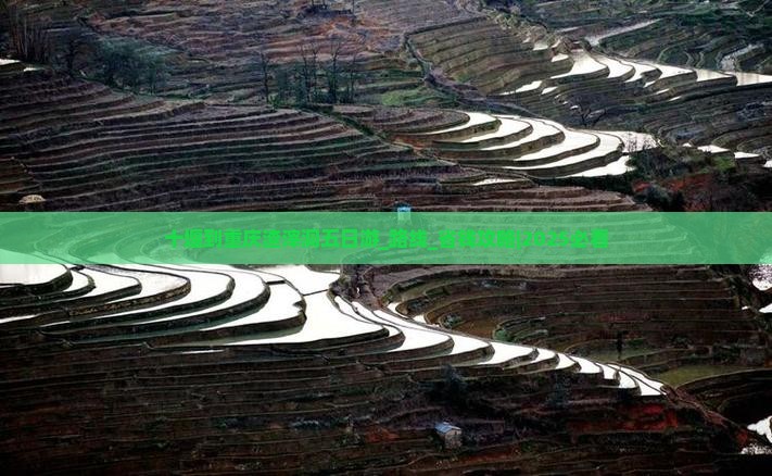 十堰到重庆渣滓洞五日游