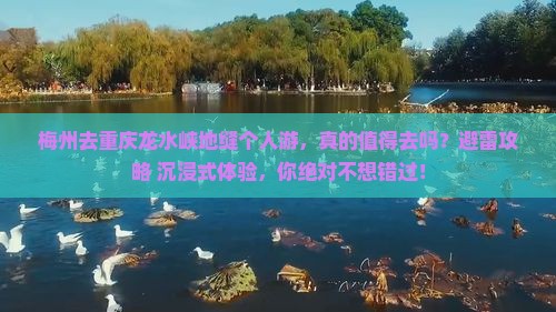 梅州去重庆龙水峡地缝个人游