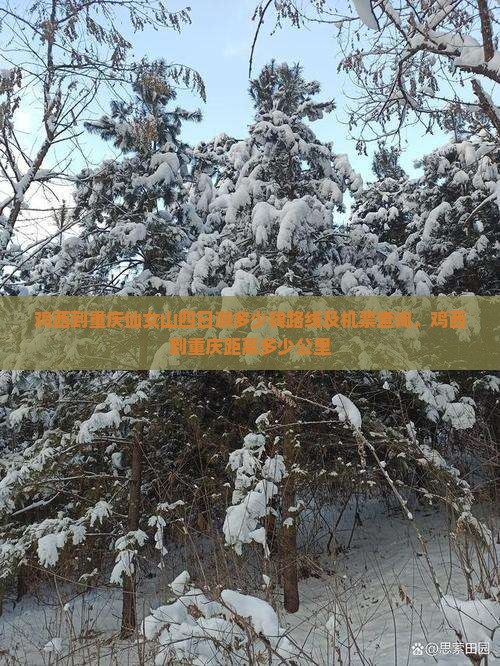 鸡西到重庆仙女山四日游