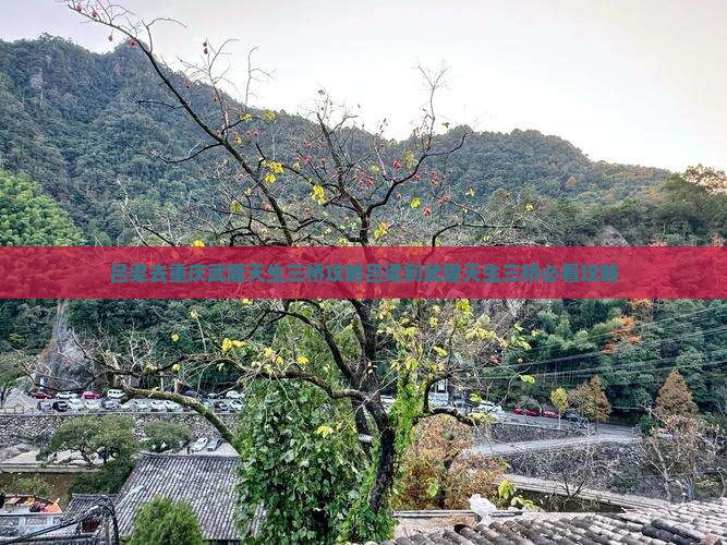 吕梁去重庆武隆天生三桥攻略