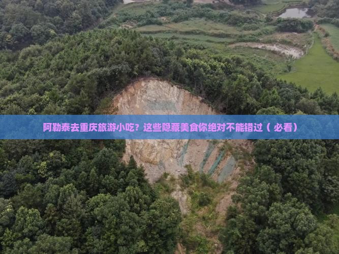 阿勒泰去重庆旅游小吃