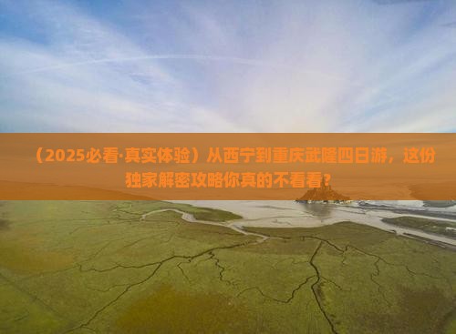 西宁去重庆武隆四日游