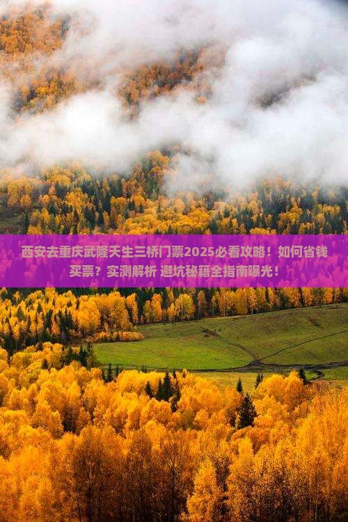西安去重庆武隆天生三桥门票