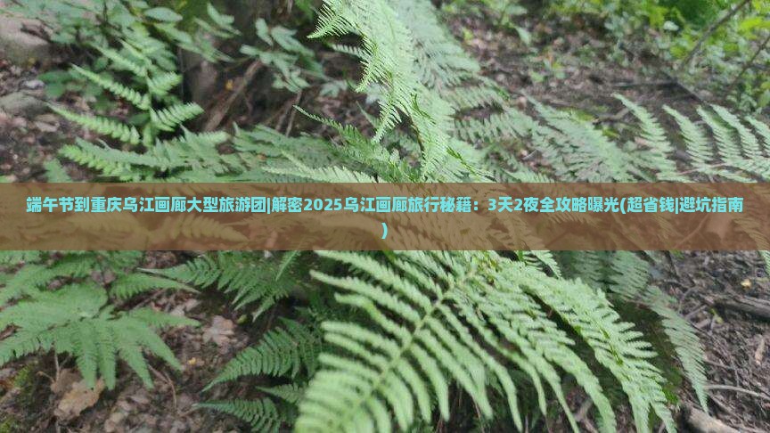端午节到重庆乌江画廊大型旅游团