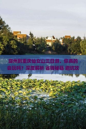 滁州到重庆仙女山三日游