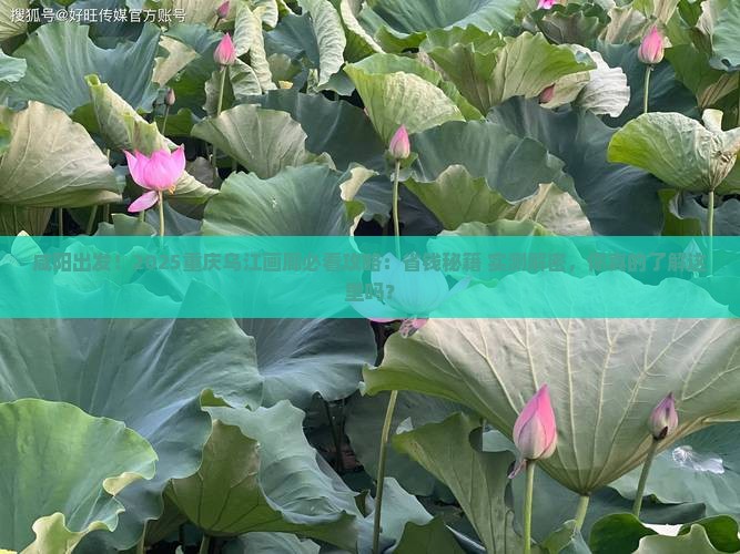 咸阳去重庆乌江画廊哪里玩
