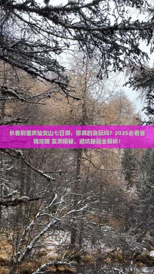 长春到重庆仙女山七日游