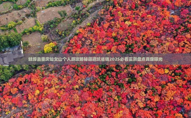 蚌埠去重庆仙女山个人游