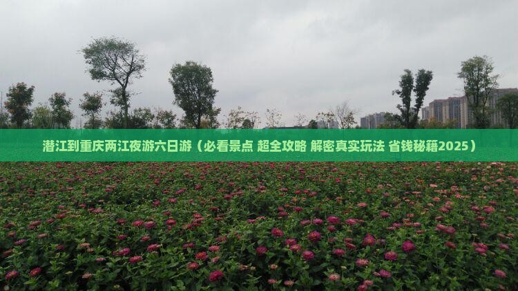 潜江到重庆两江夜游六日游
