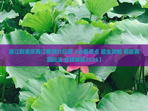 潜江到重庆两江夜游六日游