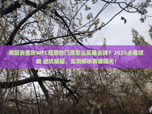 南阳去重庆wfc观景台门票