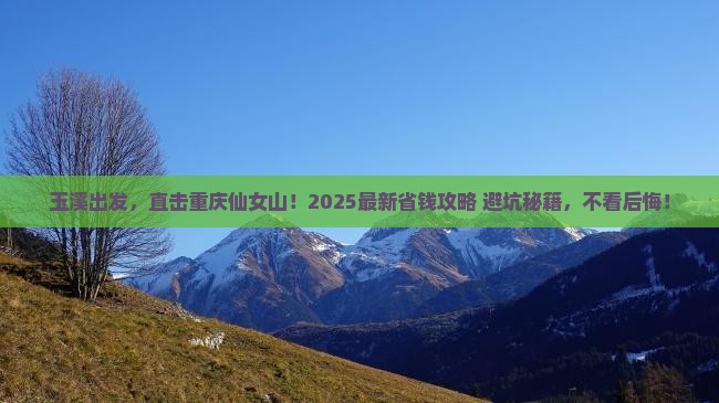 玉溪去重庆仙女山攻略