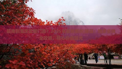 陇南到重庆武隆门票