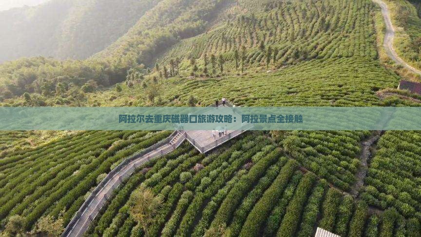 阿拉尔去重庆磁器口旅行社