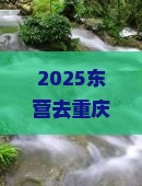 东营去重庆李子坝轻轨站四日游