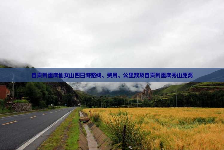 自贡到重庆仙女山四日游