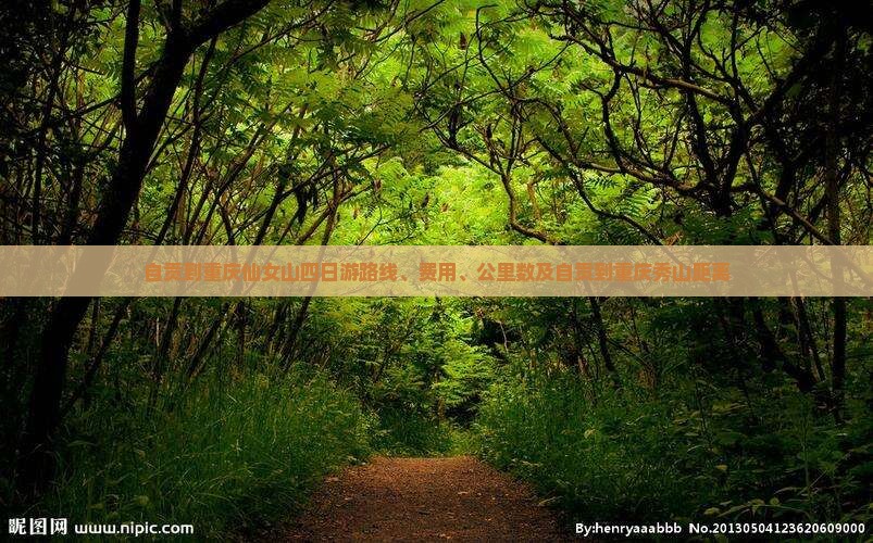 自贡到重庆仙女山四日游