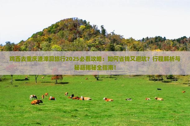 鸡西去重庆渣滓洞旅行社