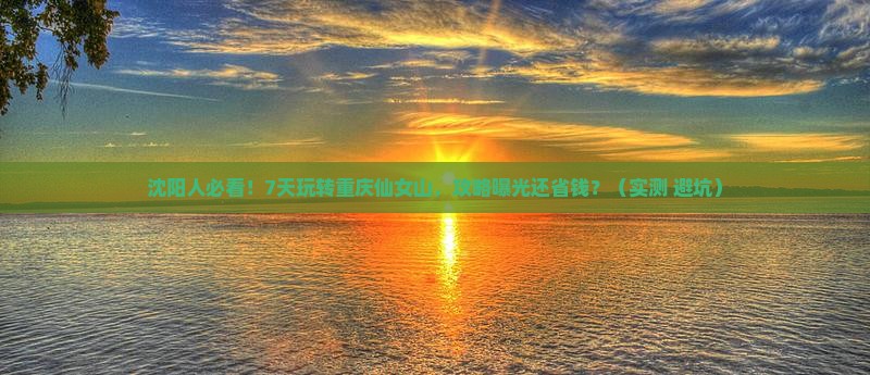沈阳去重庆仙女山七日游