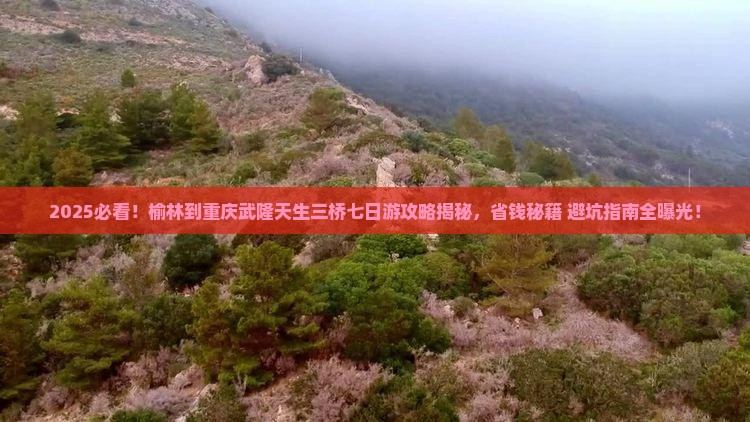 榆林到重庆武隆天生三桥七日游