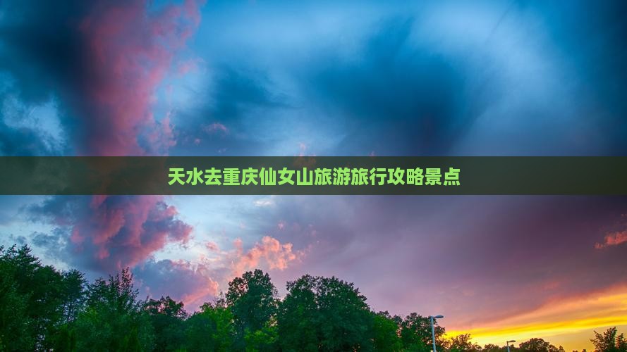 天水去重庆仙女山旅行社