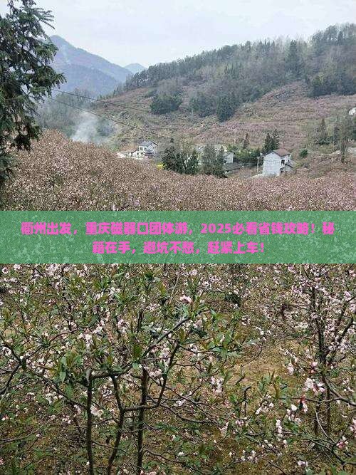 衢州去重庆磁器口团体旅游