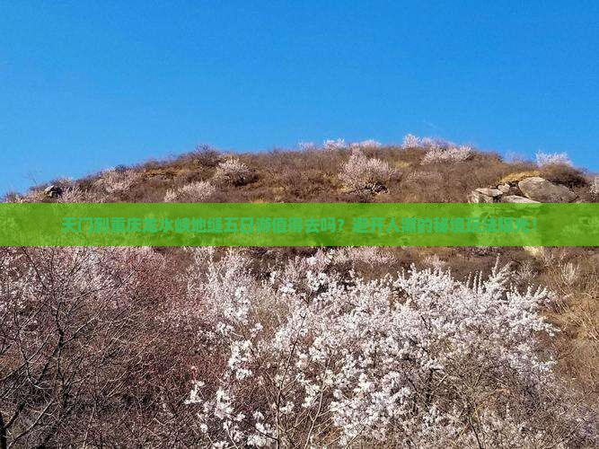 天门到重庆龙水峡地缝五日游