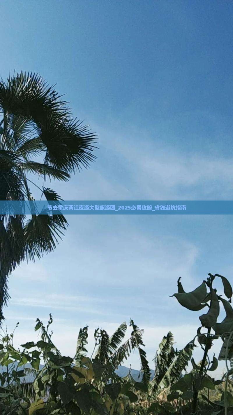 中秋节去重庆两江夜游大型旅游团