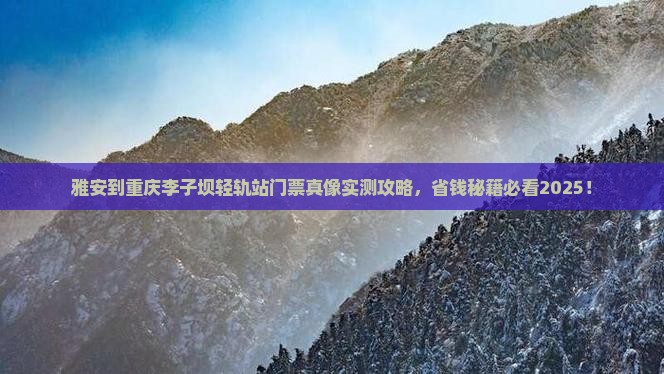 雅安到重庆李子坝轻轨站门票