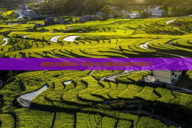 德阳去重庆大型旅游团