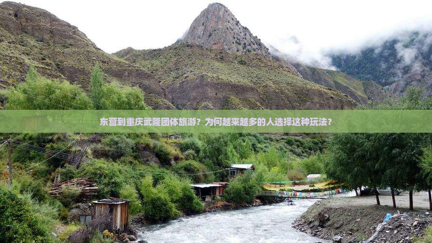 东营到重庆武隆团体旅游