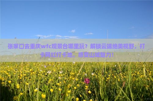 张家口去重庆wfc观景台哪里玩