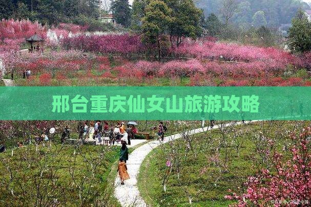 邢台到重庆仙女山大型旅游团
