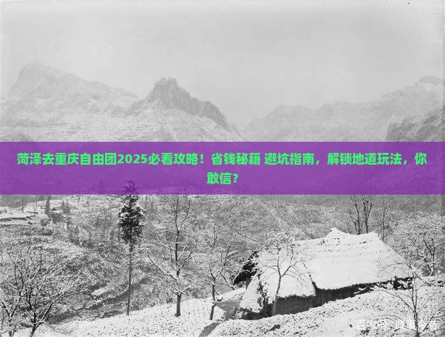 菏泽去重庆自由团