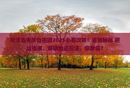 菏泽去重庆自由团