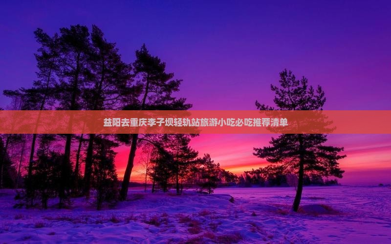 益阳去重庆李子坝轻轨站旅游小吃