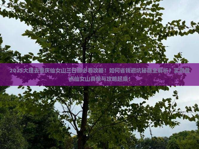 大理去重庆仙女山三日游