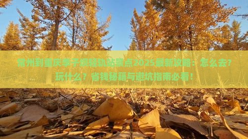 常州到重庆李子坝轻轨站景点
