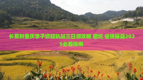 长葛到重庆李子坝轻轨站三日游