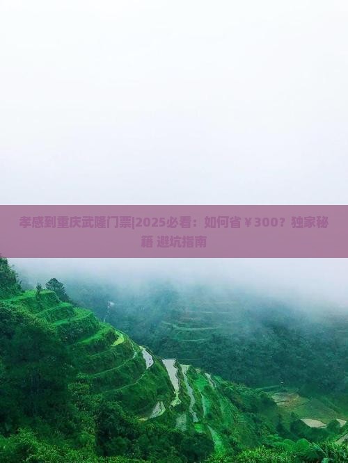孝感到重庆武隆门票
