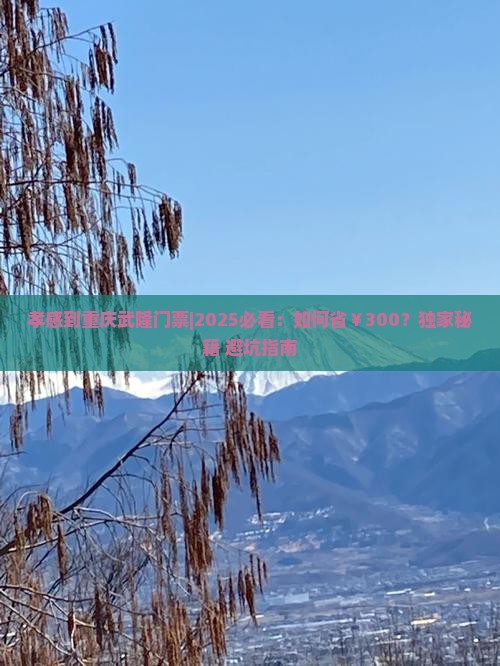 孝感到重庆武隆门票