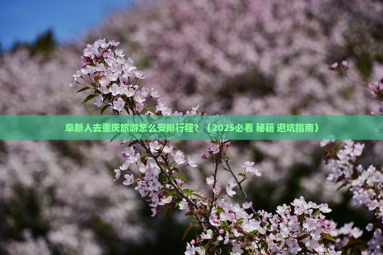 阜新去重庆哪里玩