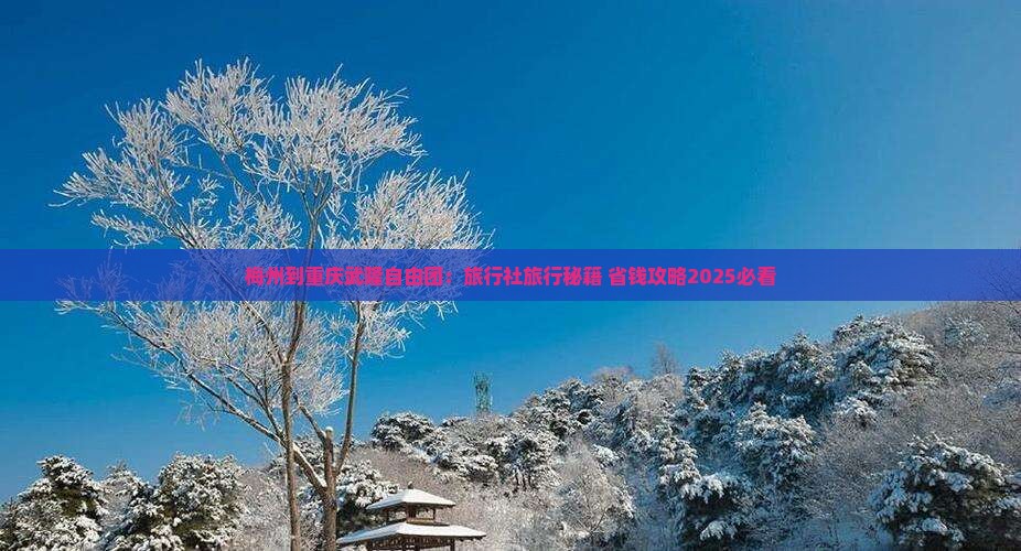 梅州到重庆武隆自由团 梅州到重庆武隆自由团