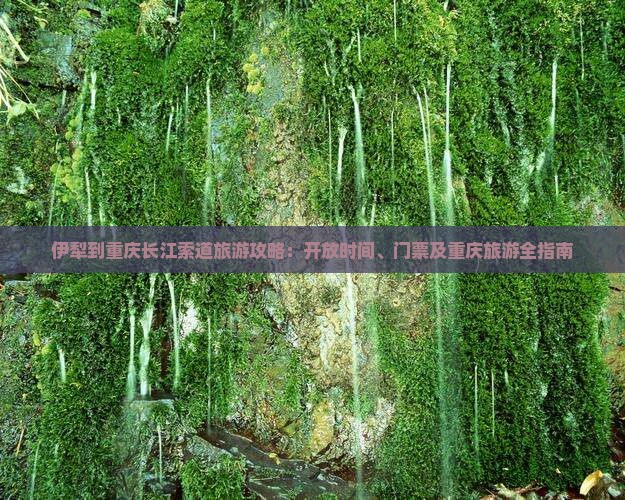 伊犁去重庆长江索道门票 伊犁去重庆长江索道门票