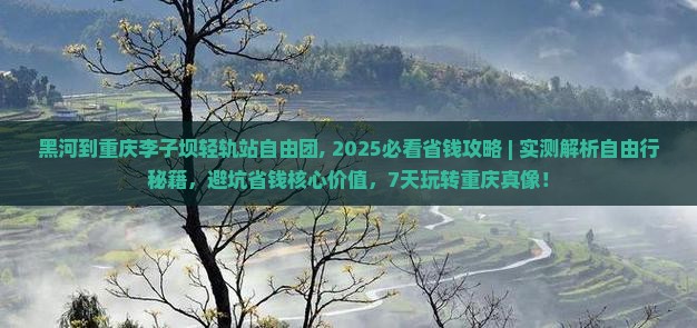 黑河到重庆李子坝轻轨站自由团