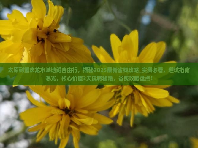 太原到重庆龙水峡地缝自由行