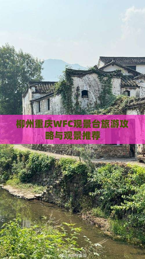 柳州去重庆wfc观景台旅行社